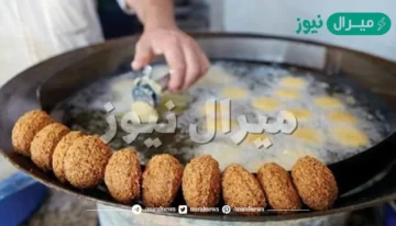 اسرار تحضير عجينة الطعمية زي المحلات بخطوات بسيطة وبأقل التكاليف