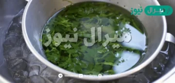 اشربوا منقوع البقدونس على الريق بدل الأدوية إذا كنتم تعانون من كل هذه الأمراض