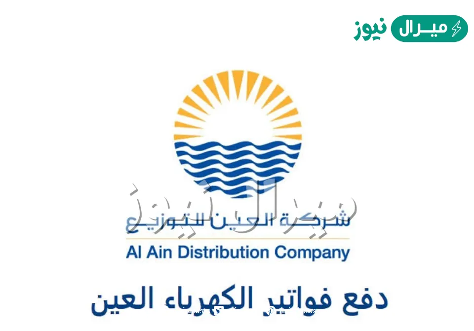 الاستعلام عن فاتورة الكهرباء عبر تطبيق العين برقم الحساب 