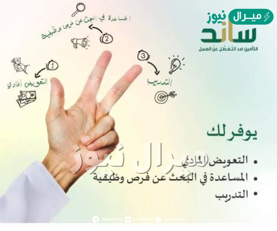 التسجيل في نظام ساند التأمينات الاجتماعية وشروط التقديم للرجال والنساء