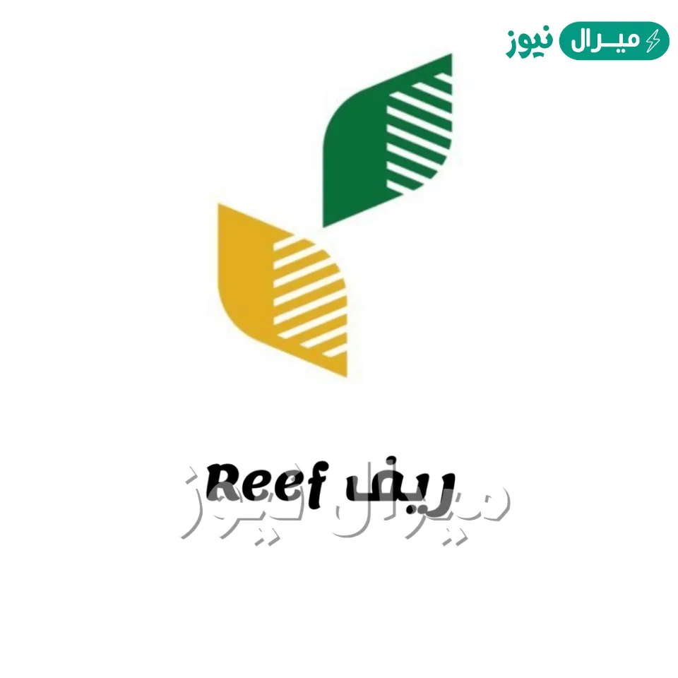 “للاستفسار والشكاوى” تواصل مع رقم دعم ريف المجاني الموحد خدمة عملاء منصة ريف