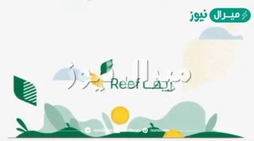 رقم الدعم الريفي للأسر المنتجة وطريقة التسجيل في منصة ريف