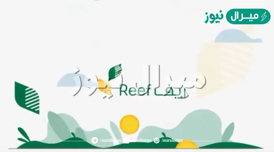 رقم الدعم الريفي للأسر المنتجة وطريقة التسجيل في منصة ريف