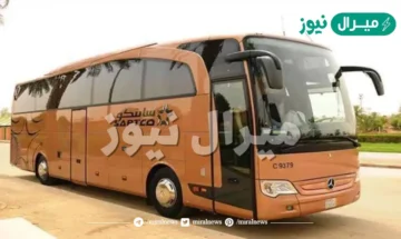 رقم النقل الجماعي الموحد وطرق التواصل مع شركة النقل الجماعي