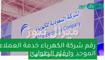 رقم شركة الكهرباء في المملكة العربية السعودية