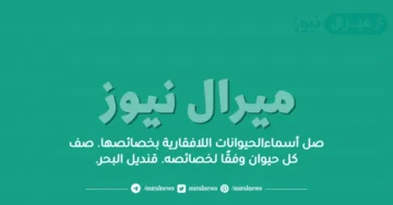صل أسماءالحيوانات اللافقارية بخصائصها. صف كل حيوان وفقًا لخصائصه. قنديل البحر.
