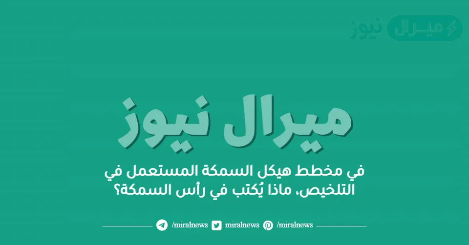 في مخطط هيكل السمكة المستعمل في التلخيص، ماذا يُكتب في رأس السمكة؟