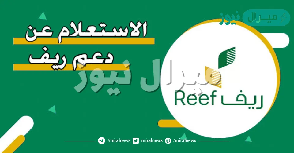 لينك الاستعلام عن دعم ريف برقم الهوية عبر رابط منصة ريف reef gov