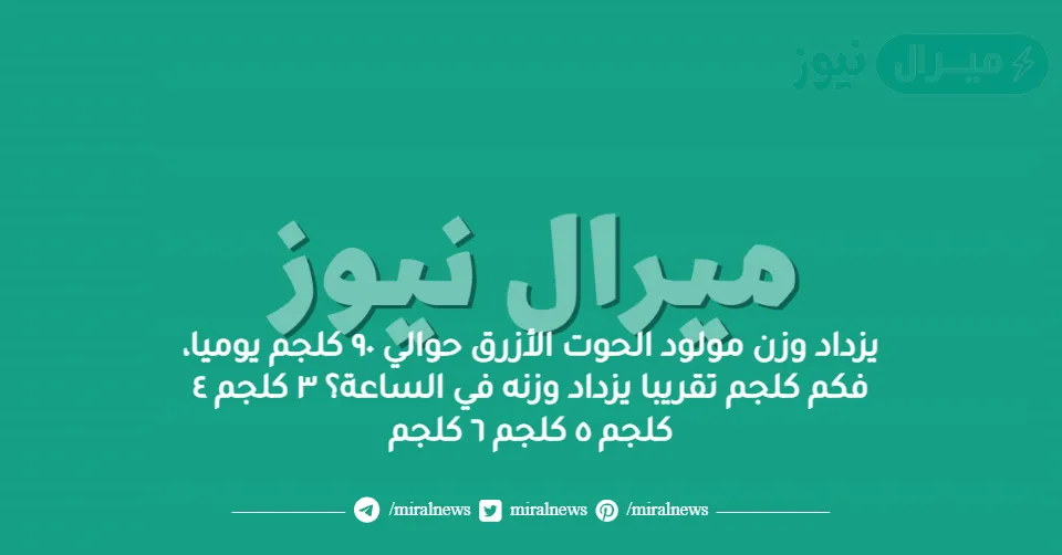 يزداد وزن مولود الحوت الأزرق حوالي ٩٠ كلجم يوميا، فكم كلجم تقريبا يزداد وزنه في الساعة؟ ٣ كلجم ٤ كلجم ٥ كلجم ٦ كلجم