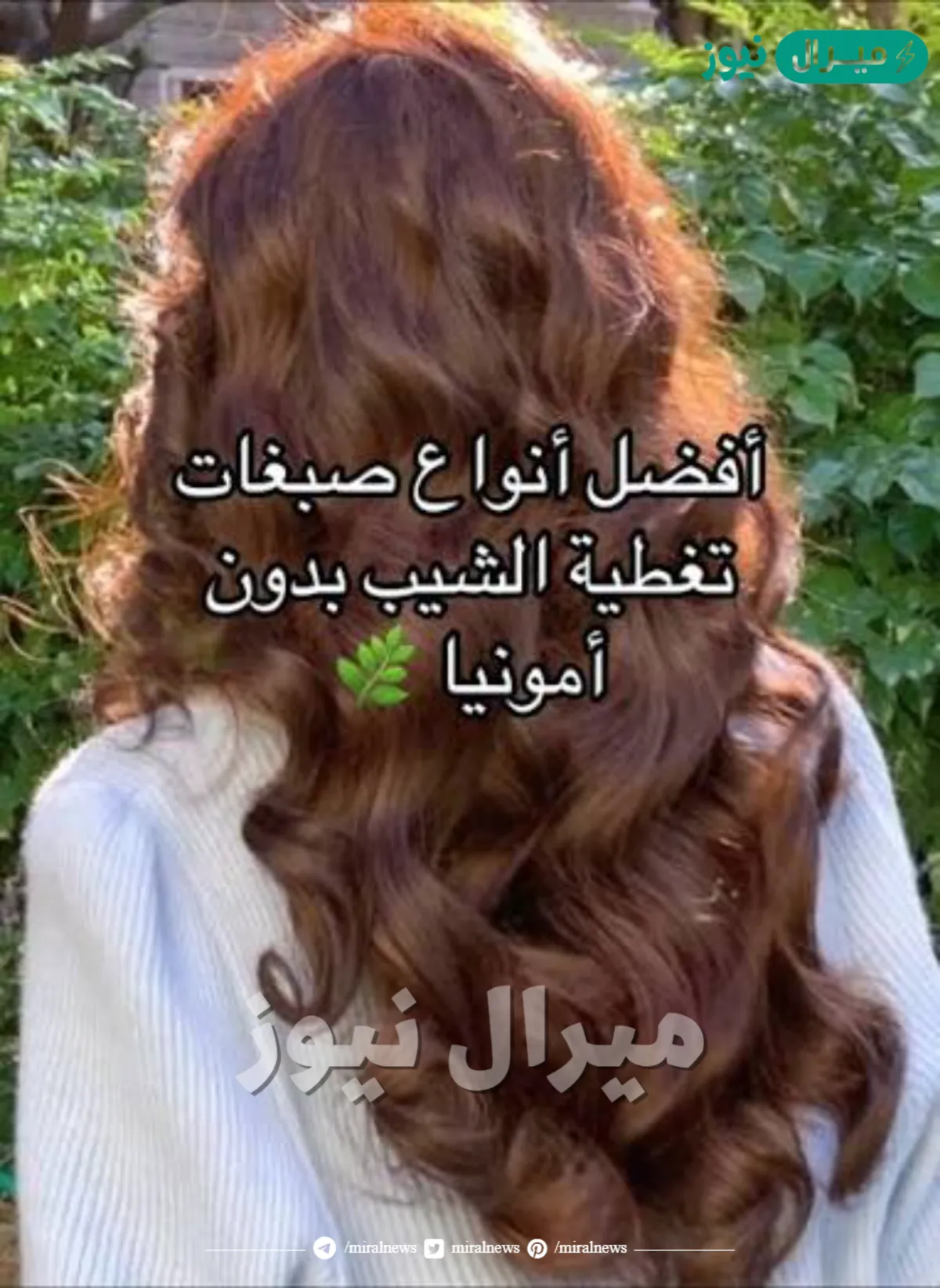 افضل صبغات من الصيدليه للقضاء على الشيب وتلوين الشعر الابيض بشكل طبيعي