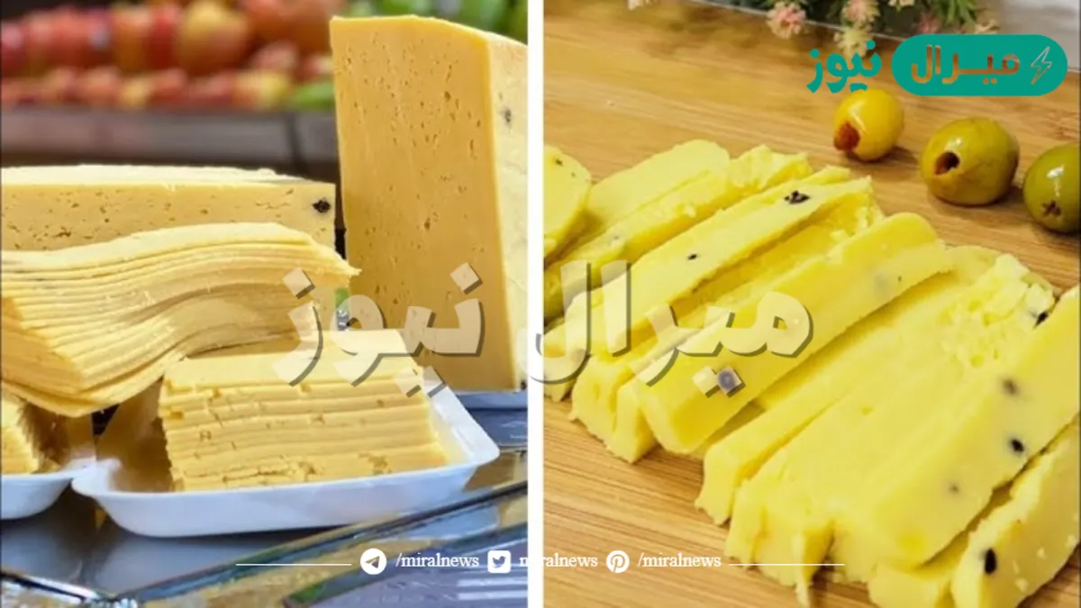 الجبنة التركى الرومى عملت 3 كيلو جبنة من 2 كيلو لبن ب 30 جنية بس والطريقة الصحيحة لتخزينها