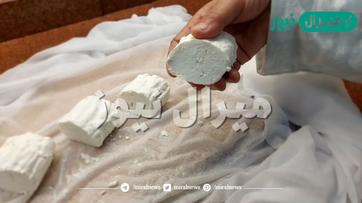 الجبنة القريش الاقتصادية والمضمونة في منزلك بمكونين فقط
