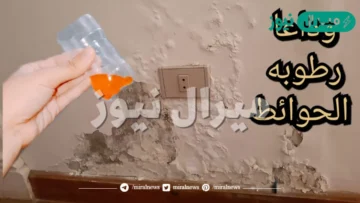 الحل الجبار.. للتخلص من الرطوبة والعفن في الحوائط بدون تكاليف فكرة هائلة ناجحة مليون بالمئة