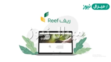 الدعم الريفي للأسر المنتجة وطريقة الاستفادة من الحصول علي الدعم ومعرفة اهم الشروط