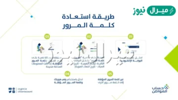 خطوات استعادة كلمة المرور المفقودة بحساب المواطن والاعتراض على الدفعة