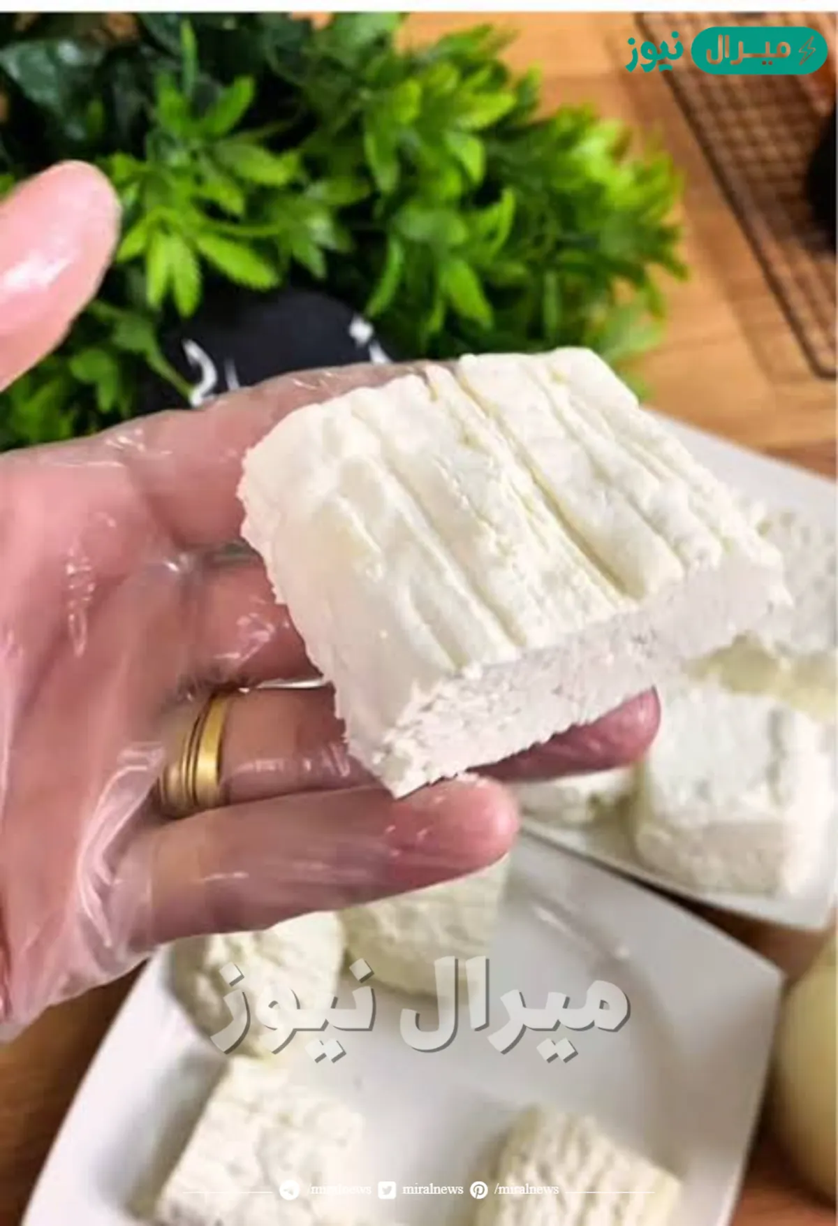 طريقة عمل الجبنة القريش في المنزل وبخطوات سهلة وبسيطة والطعم زي الفلاحي