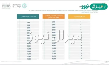 كم دعم الغذاء والكهرباء في الضمان المطور وفقا للتعديلات الجديدة طريقة الاستعلام عن الدفعات