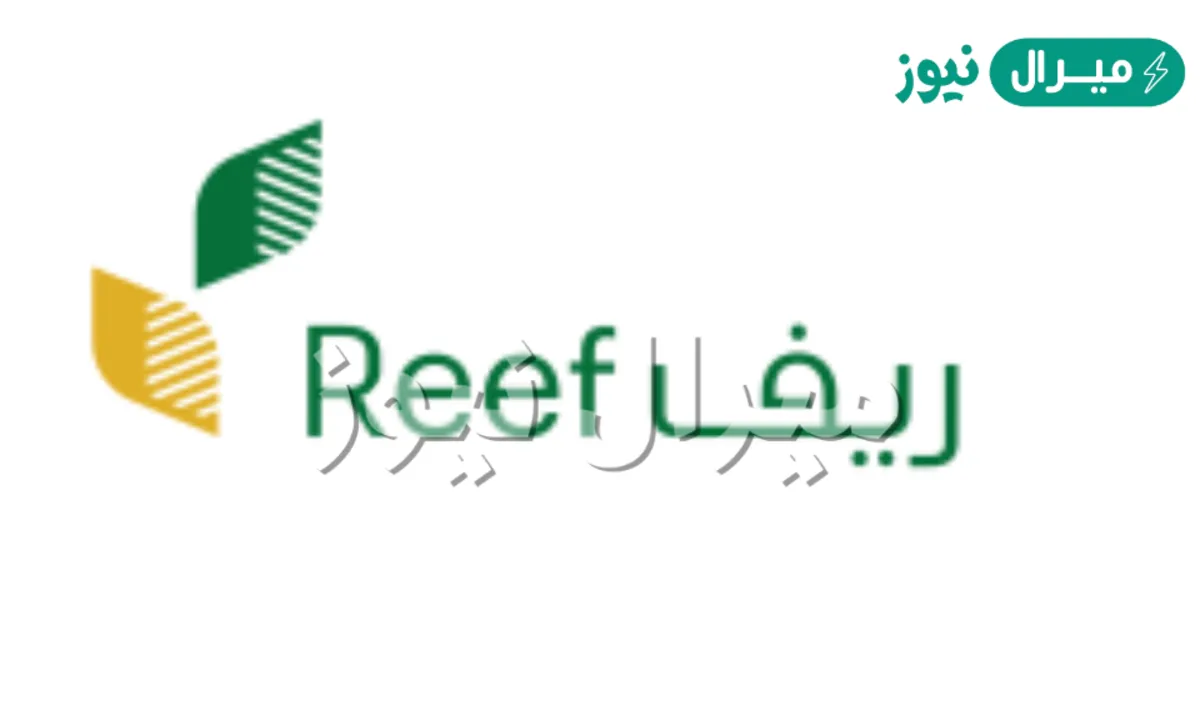 كم مبلغ دعم ريف وطريقة التسجيل في البرنامج