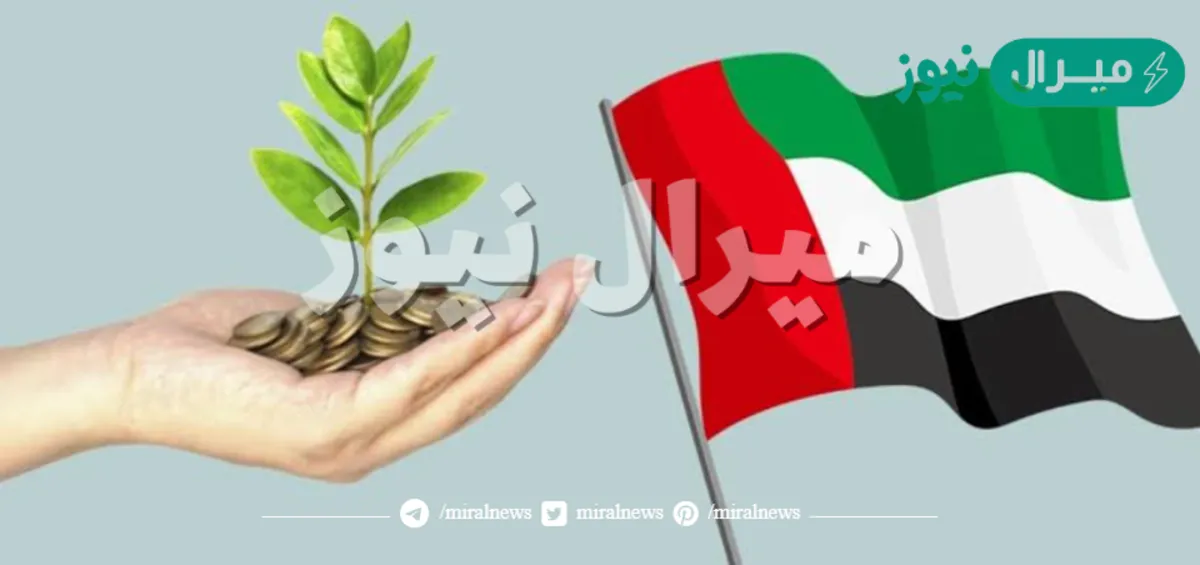 “مساعدات شيوخ الإمارات” mbrch.gov.ae أرقام مباشرة الشيخ محمد بن راشد للمساعدات
